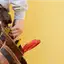 Handyman repair service in Cleveland, OH for home fixes and improvements